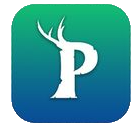 Palworld